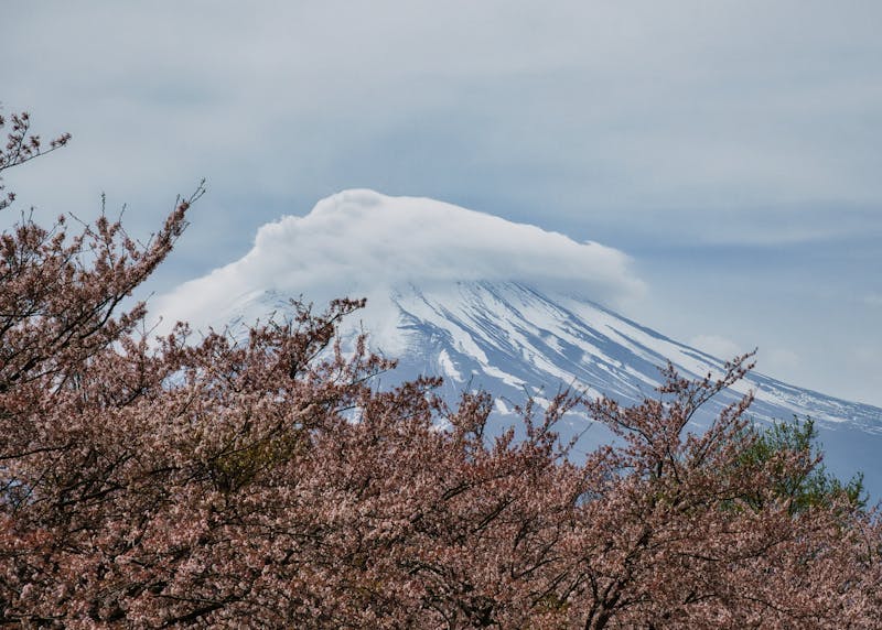 2026年復活節10天假期：日本台灣泰國行程攻略與訂房貼士