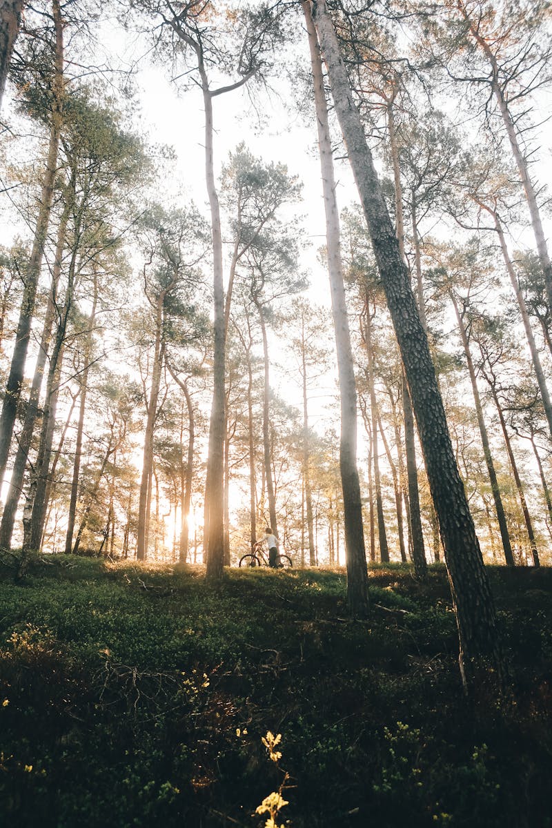 香港下午茶推薦2026：必試酒店下午茶精選10大